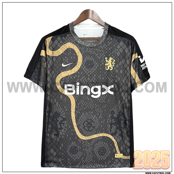 Camiseta Futbol FC Chelsea Edicion especial 2025 2026 Gris