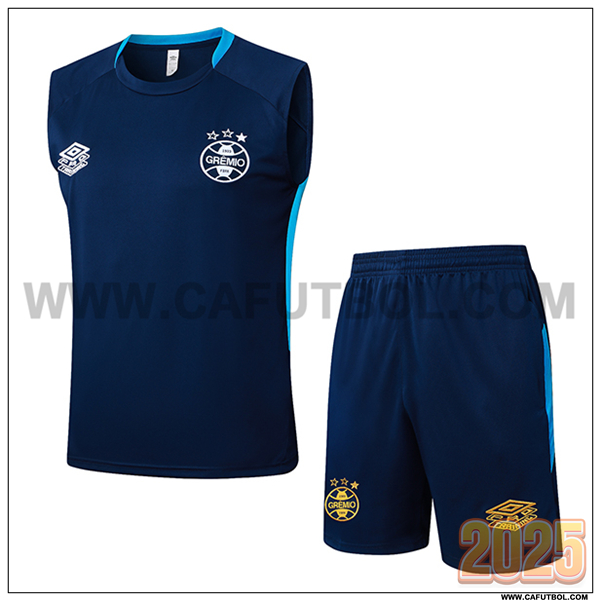 Camiseta Entrenamiento sin mangas Gremio azul real 2025 2026