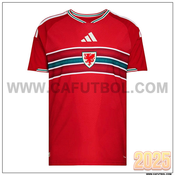 Nuevo Camiseta Equipo de Pays de Galles Primera 2026/2027 Rojo