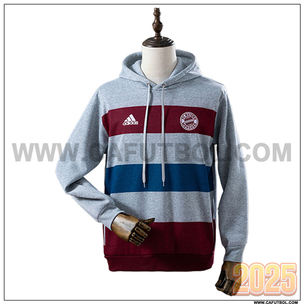 Sudadera Entrenamiento Capucha Bayern Munich Gris/Rojo/Azul 2025 2026