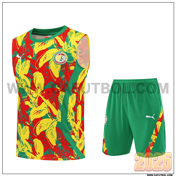 Camiseta Entrenamiento sin mangas Senegal Amarillo/Rojo/Verde 2025/26
