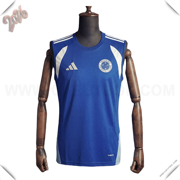 Chalecos De Futbol Cruzeiro Azul/Blanco 2025/2026
