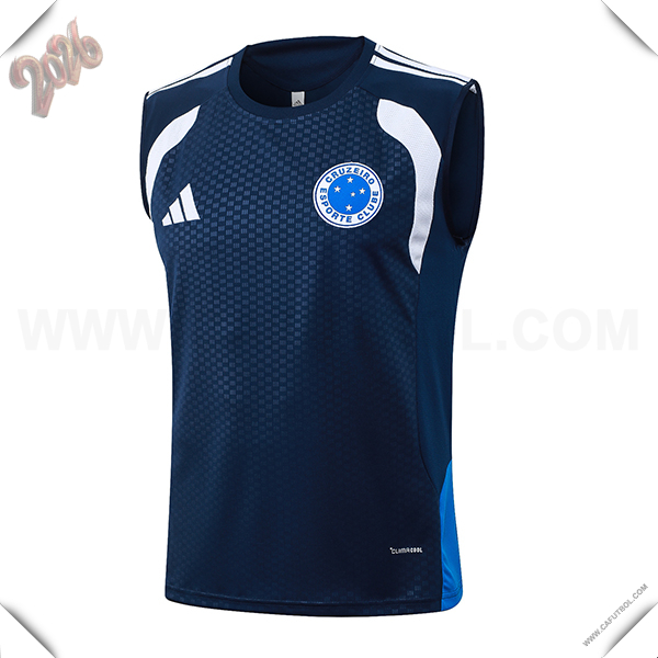 Chalecos De Futbol Cruzeiro azul real 2026/2027